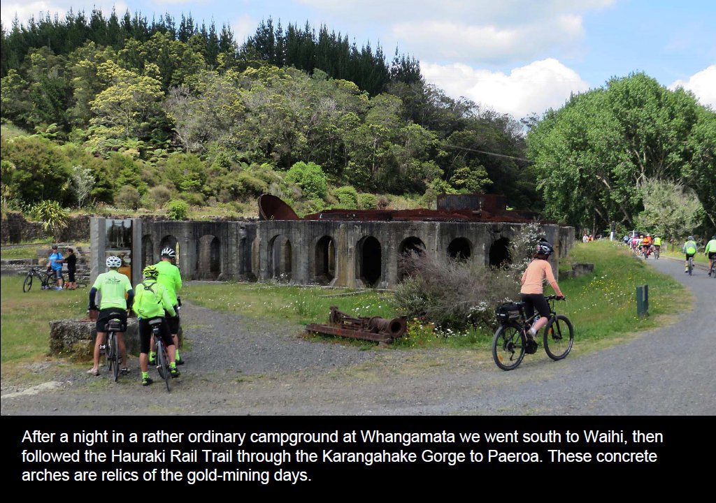 coro201532.jpg (285860 bytes)